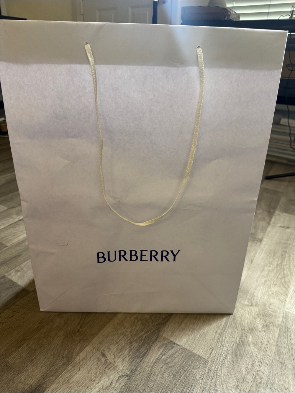 Burberry White Women's Gift Bag with Navy Logo